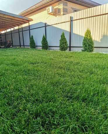 спортивный газон: 🌿 Газон. 🌿 Посев газона. 🌿Сеем газон. 🌿 Обработка участка от сорняка