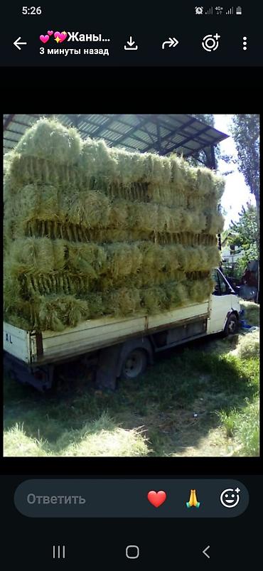 гостиницы для животных: Сено в тюках - Прессованное эспарцет, тюки прямоугольной формы - — 1