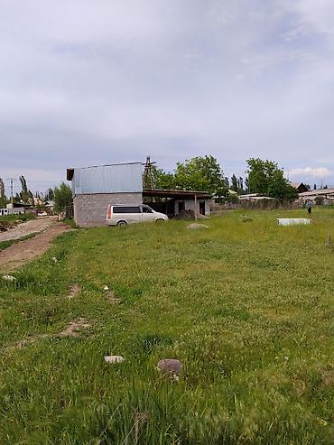 с хранения: 8 соток — 2