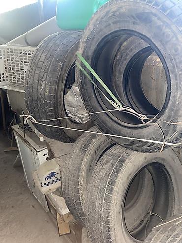 шина 21570 r16: 1 шина 2000 сом Комплект автомобильных шин 16" - Размер: 215/70 R16 — 1