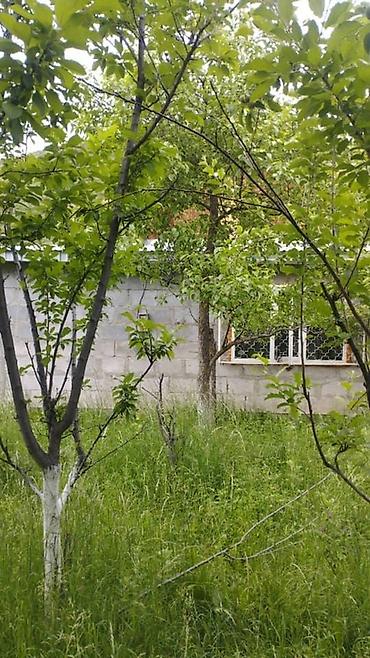 Продажа домов: Дом, 62 м², 3 комнаты, Риэлтор, Косметический ремонт — 3