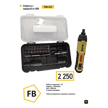 Аккумуляторная отвёртка с зарядкой от USB FBH-01S. Компактный набор