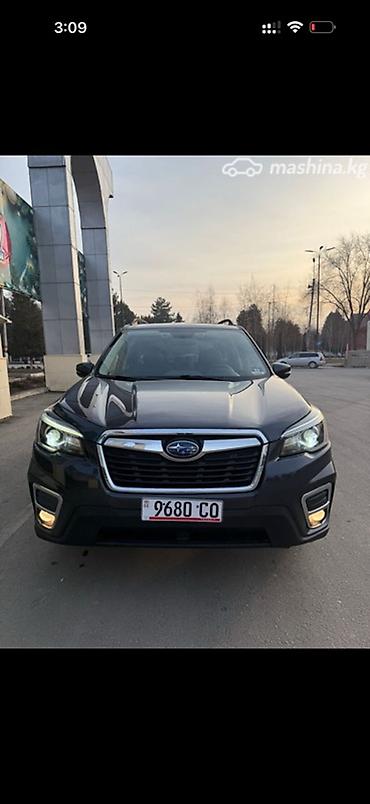 Subaru: Subaru Forester: 2019 г., Кроссовер — 1