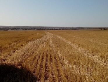 недвижимость в бишкеке продажа домов: 10000 соток Для сельского хозяйства