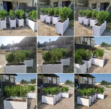 Bitkilər üçün dibçəklər: Taxta dipçəklər Bir başa sexdən.Sex qiymətinə. ♦️Endrim 2025 — 12