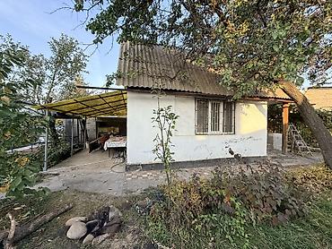 я ищу дача: 2 комнаты, 5 м², 5 соток, Электричество, Холодная вода, Септик — 5