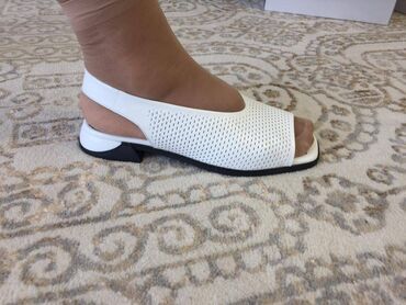 шлепанцы летние: Поступление новых моделей обуви из натуральной кожи производства