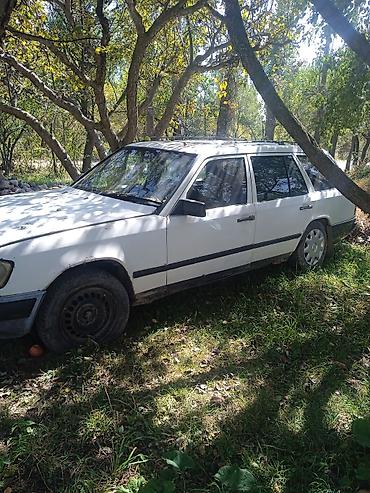 ауди а6 с4 1: Mercedes-Benz E-Class: 1988 г., 2.3 л, Кол менен иштөөчү, Дизель, Универсал — 3
