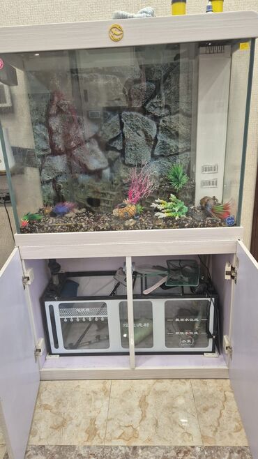 Akvariumlar: Akvarium-şkaf, 413 l, Ünvandan götürmə -da lalafo.az — 6 Akvariumlar: Akvarium-şkaf, 413 l, Ünvandan götürmə — 6