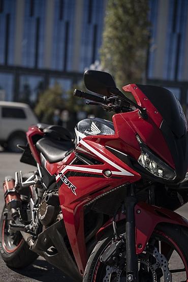 фильтер: Спортбайк Honda, 500 куб. см, Бензин, Взрослый, Б/у — 4