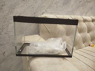 akvarium bitkisi: Akvaryum şüşə çən - Material: qalın şüşə, küncləri və üst-altar — 1