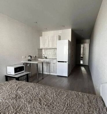 квартиру в аренду на долгий срок: Студия, Риелтор, Чогуу жашоосу жок, Толугу менен эмереги бар