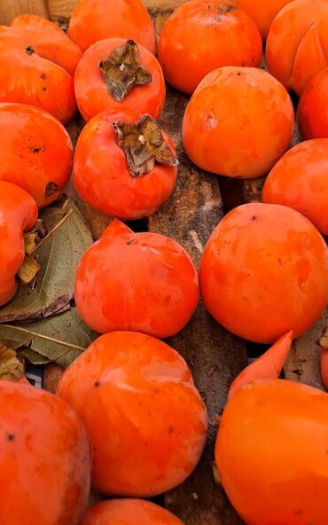 Meyvə və giləmeyvə: Məhsul: Öz bağımızdan Xurma . Ağdaş Xurması. Qiyməti - 0.70. Çox — 3