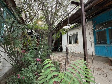 дом сатылат ош: Дом, 1111111110 м², 4 комнаты