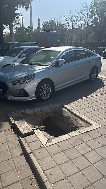 byd ev: Hyundai Sonata: 2017 г., Автомат, Бензин, Седан — 4