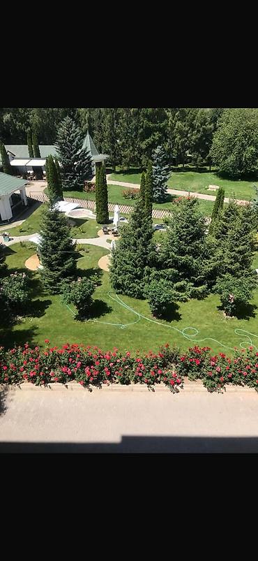 Аренда квартир: 1 комната, Собственник, Без подселения, от 6 месяцев, С мебелью полностью — 9