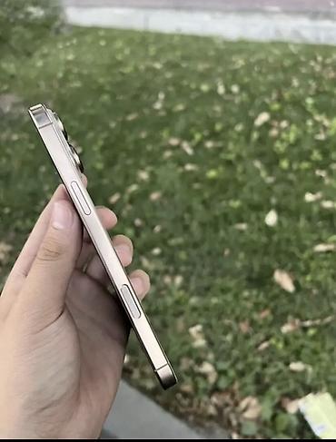 айфон 16 про купить: IPhone с тройной камерой Pro-серии, цвет — светло‑золотой (кремовый) — 3