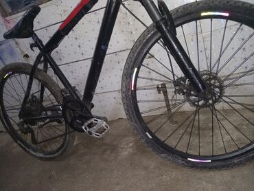 lxtx velosiped: Dağ velosipedi Saft, 26"