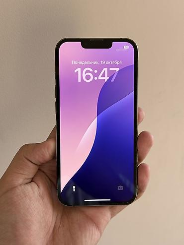 touch id: IPhone 13 Pro, Б/у, 512 ГБ, Matte Space Gray, 76 % — 2