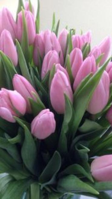 Другие виды семян и саженцев: Продаём саженцы смородины алтайский местный .(обмен есть рассмотрим — 15