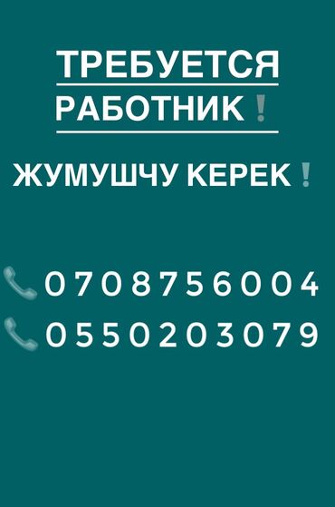 ресто бар: •Жумушчу подсобник керек: чарбага карагат бал челеке . •Уйбулосу