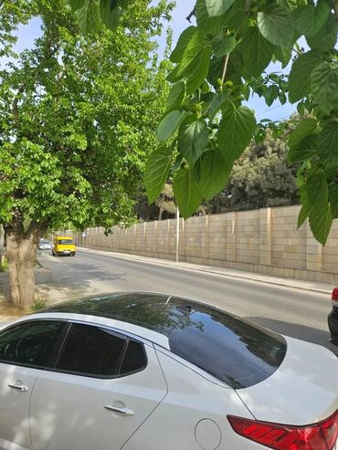 Uzunmüddətli kirayə evlər: 40 kv. m, 2 otaqlı -da lalafo.az — 13 Uzunmüddətli kirayə evlər: 40 kv. m, 2 otaqlı — 13