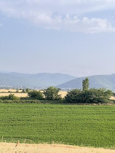 hovsanda torpaq satilir 2025: 7 sot, Tikinti, Mülkiyyətçi, Kupça (Çıxarış), Texniki pasport — 1