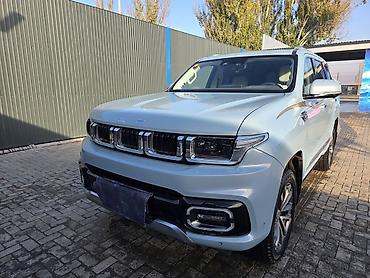 Другие автомобили: Baic BJ60 — 8