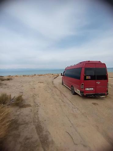 Автобус на заказ: Бус Трансфер Заказ 
Звоните Любое Время — 7