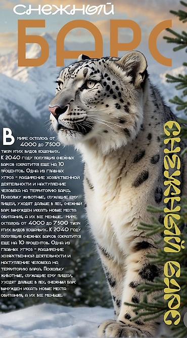 Интернет реклама: Предоставляю графические услуги и дизайн. • инфографика • рекламные — 2