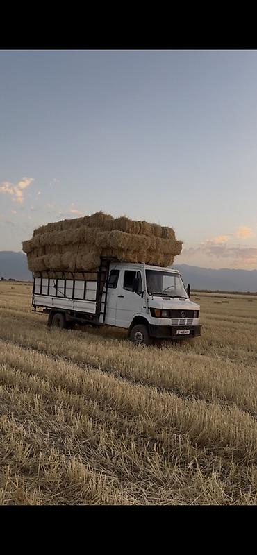 Унаа: Жүк ташуучу унаа, Mercedes-Benz, Дубль, 5 т, Колдонулган — 6
