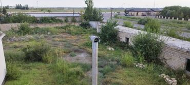 Torpaq sahələrinin satışı: 30 sot, Kənd təsərrüfatı, Mülkiyyətçi, Kupça (Çıxarış) — 13