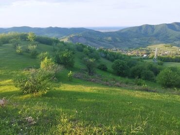 nardaranda torpaq satilir: 60 sot, Kənd təsərrüfatı, Kupça (Çıxarış)