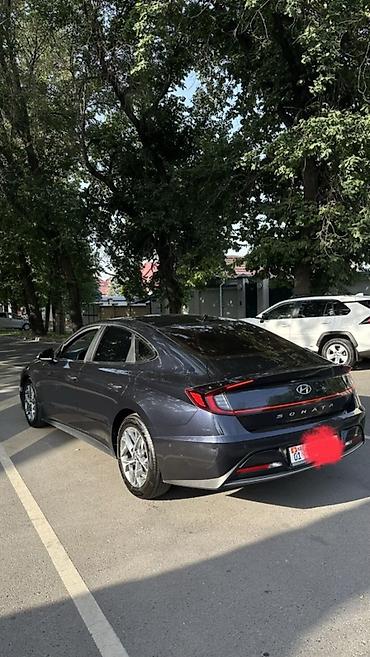 sonata: Hyundai Sonata: 2019 г., 2 л, Бензин — 7