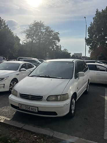 люкушка хонда шатл: Honda Odyssey: 1999 г., 2.3 л, Автомат, Бензин, Минивэн — 2