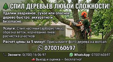уборка деревьев с участка: Пилим деревья разной сложности, дрова. Делаем уборку участка, погрузка — 2