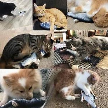 Oprema za kućne ljubimce: MAGIC FISH – pokretna interaktivna igračka za mačke - Imitira pokrete — 27