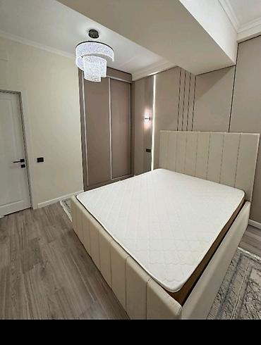 2 8: 2 комнаты, 55 м², Пишпек Элитка, 13 этаж, Евроремонт — 3