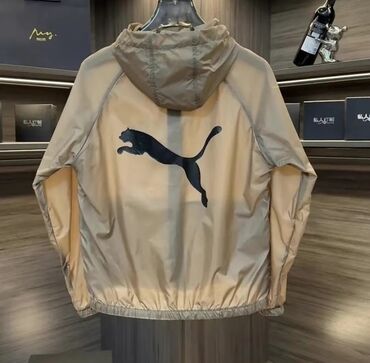 фудболки puma: Мужской спортивный костюм, 2XL (EU 44), Puma, Новый, цвет - Бежевый, Самовывоз