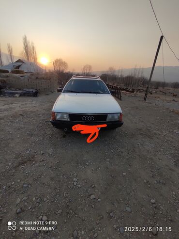 Audi: Audi 100: 1989 г., 2.3 л, Механика, Бензин, Универсал