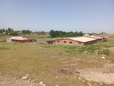 Продажа участков: 120 соток, Для сельского хозяйства, Красная книга — 13