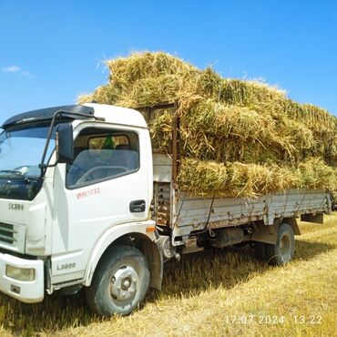 саларис машина цена: Dongfeng EQ 1030: 2014 г., 4.2 л, Механика, Дизель