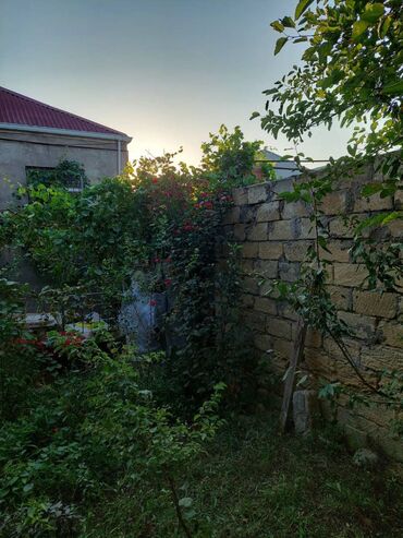 Həyət evləri və villaların satışı: Biləcəri 3 otaqlı, 80 kv. m, Yeni təmirli -da lalafo.az — 10 Həyət evləri və villaların satışı: Biləcəri 3 otaqlı, 80 kv. m, Yeni təmirli — 10