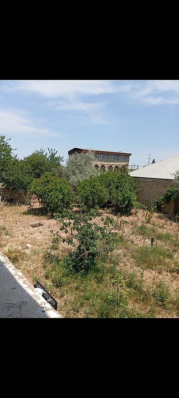 Bağ evlərinin satışı: Bakı, Türkan qəs., 140 kv. m, 3 otaqlı, Hovuzlu, Qaz, İşıq, Su — 2