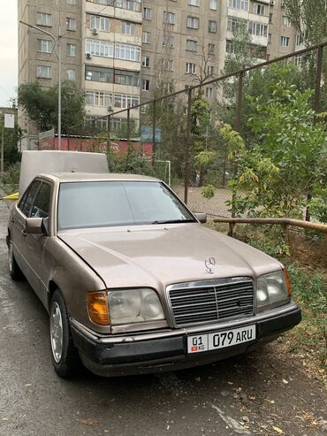 Mercedes-Benz: Mercedes-Benz 220: 1994 г., 2.2 л, Механика, Бензин, Седан