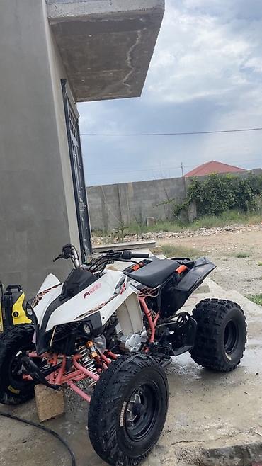 mini atv: Kayo - A 300, 320 sm3, 2022 il, 2000 km — 5