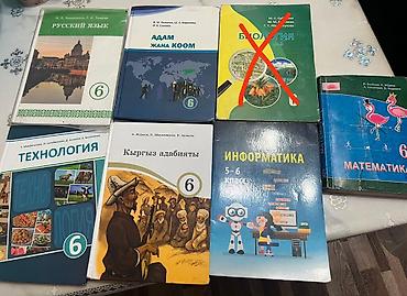 Комплект школьных учебников для 6 класса (для кыргызского класса) В