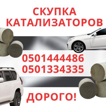 частный дом на длительный срок: Катализатор дорого котализатор котолизатор католизатор дорого анализ