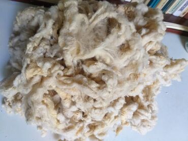 Гарнитуры для зала: Гарнитур для зала, цвет - Коричневый — 28