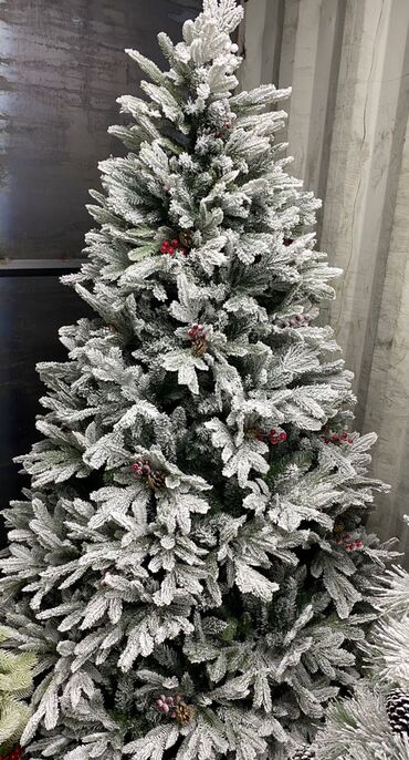 Ёлки: Елки белоснежные елки литые елки пышные елки Идут продажи at lalafo.kg — 1 Ёлки: Елки белоснежные елки литые елки пышные елки Идут продажи — 1